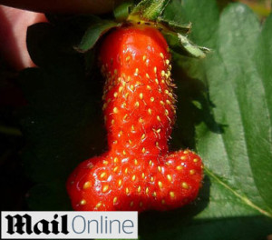 יא חתיכת ויזתא!