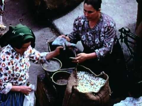 פולחן העומר הפסיכדלי