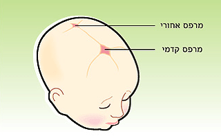 האם הנחת התפילין היא סוג של טקס אוסטאופתיה&nbsp;קדום?