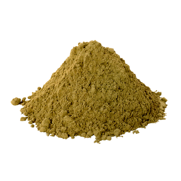 מהו ה״כיפור״ ביום&nbsp;כיפור?